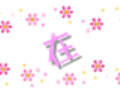 鲜花飘带